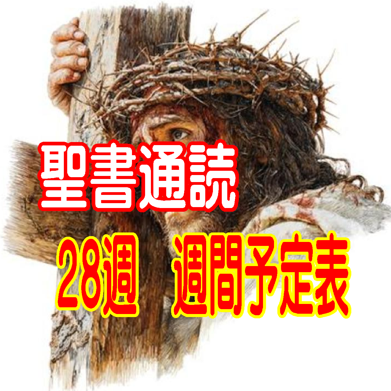 【聖書通読 第28週 週間予定表】ヨシュア記 23章~ / 第二コリント 7章~