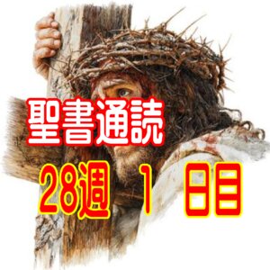 【聖書通読 第28週 1日目】恵みの記憶を握りしめ、雨上がりの空のような「清々しい悔い改め」を味わう