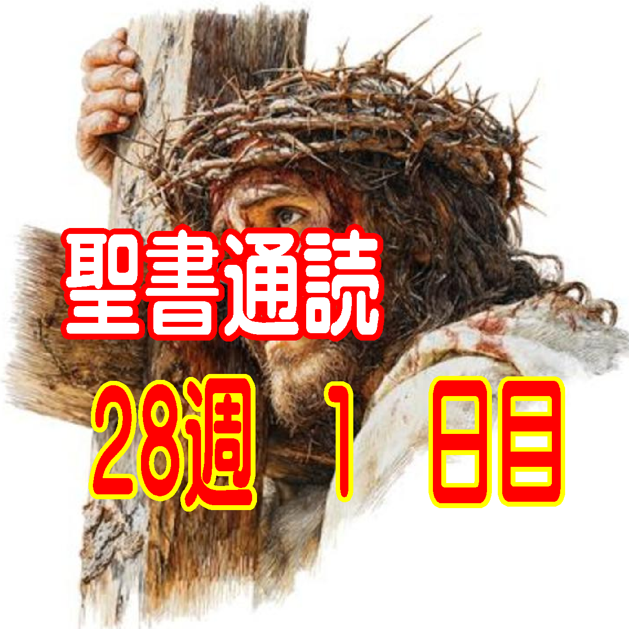 【聖書通読 第28週 1日目】恵みの記憶を握りしめ、雨上がりの空のような「清々しい悔い改め」を味わう
