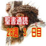【聖書通読 第28週 3日目】小さな妥協がもたらす「不完全な従順」と、純粋な真心から蒔く「喜んで与える恵み」