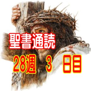 ãèæžéèª ç¬¬28é± 3æ¥ç®ãå°ããªåŠ¥åããããããäžå®å
šãªåŸé ããšãçŽç²ãªçå¿ããèããåãã§äžããæµã¿ã