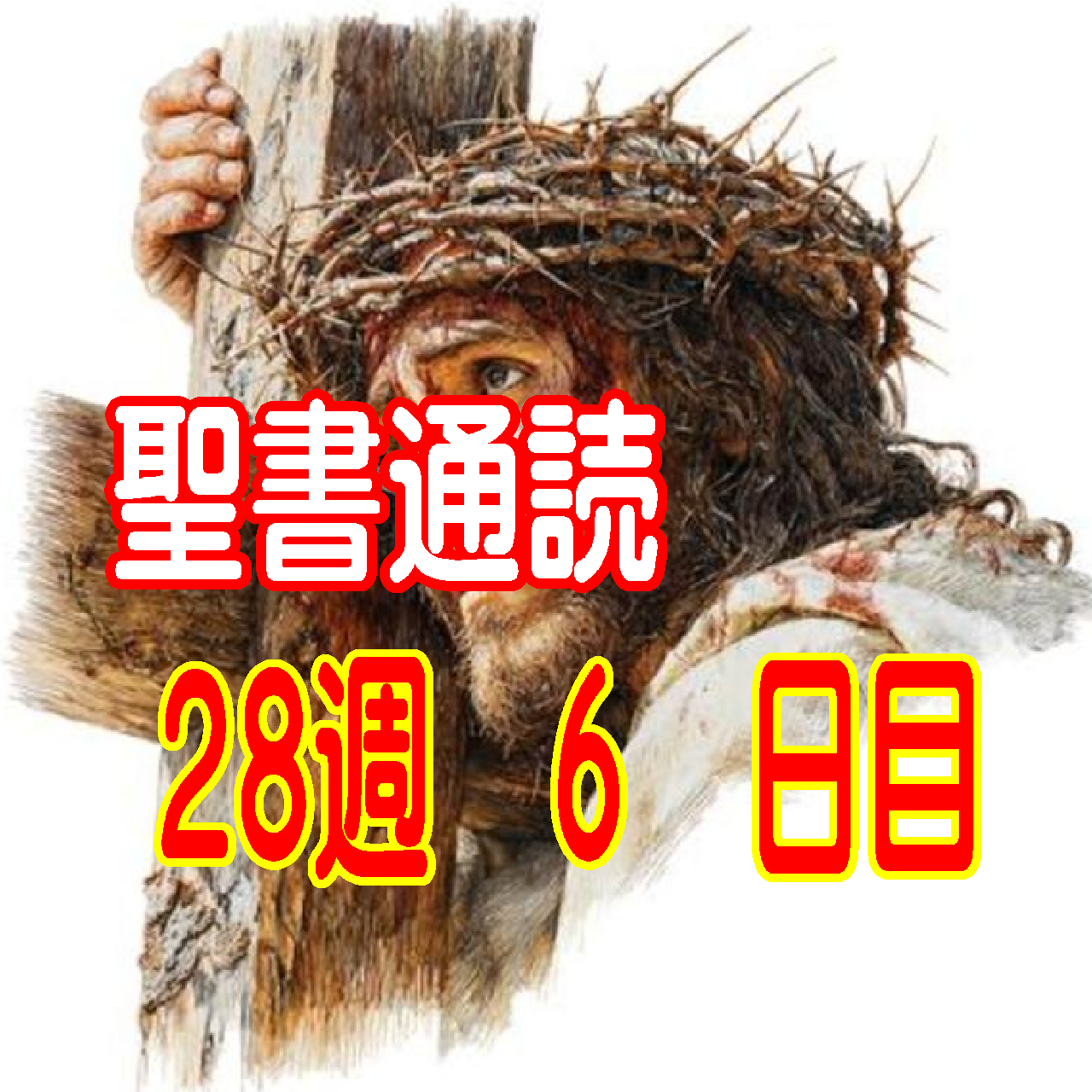 【聖書通読 第28週 6日目】ためらいを越えて立ち上がる勇気と、弱さの中で輝く「十分な恵み」の真理