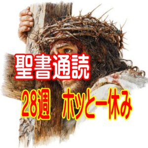 【聖書通読 第28週 ホッと一休み】「直せない」からこそ届く愛・・弱さが生み出す心のひだまり