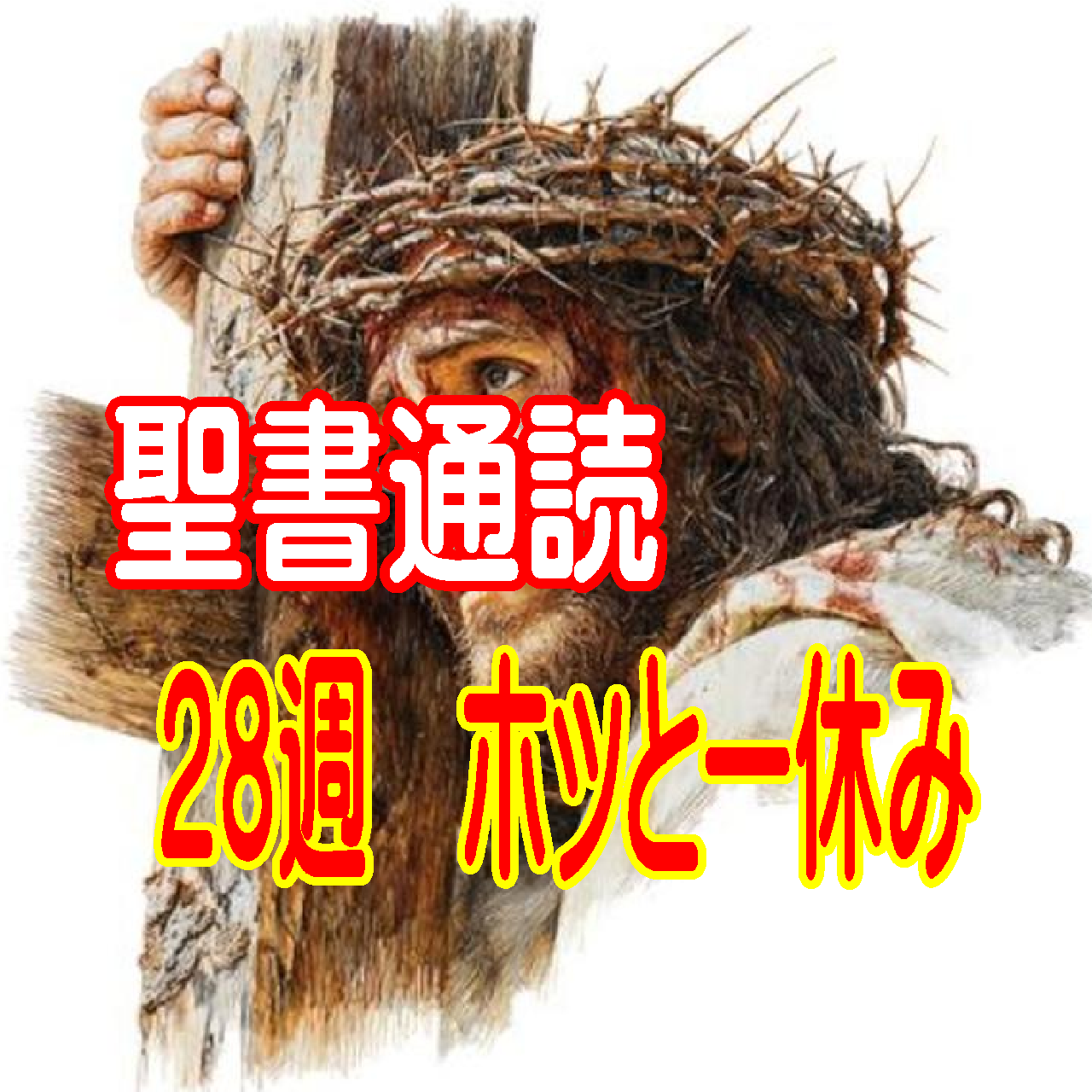 【聖書通読 第28週 　ホッと一休み】「直せない」からこそ届く愛・・弱さが生み出す心のひだまり