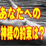 「あなたへの神様の約束は何ですか？ 十字架と復活が保証する永遠の希望」