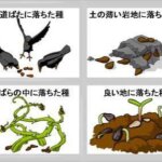 ②【４つの地にまかれた種のたとえ】奇跡の花を咲かせる「心の土壌」——時を超える命の種