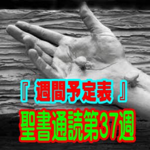 【聖書通読第３７週の週間予定表】自力を手放し、キリストの完全な恵みに安息するためのガイド