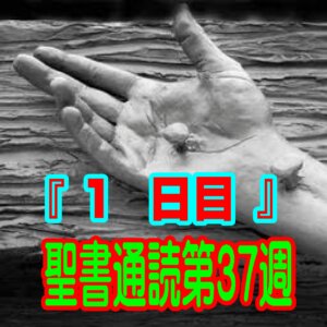 【聖書通読第37週 1日目】自分の解決策にすがる絶望と、天の聖所に固定された「魂の錨」