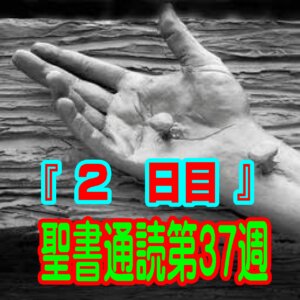 【聖書通読第37週 2日目】自力の失敗を覆う神の「奇跡的な介入」と、永遠の大祭司による「100％の救い」