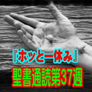 【第37週 ホッとひと休み】「自力の鎧」を脱ぎ捨て、キリストの「100％の恵み」で心を満たす週末